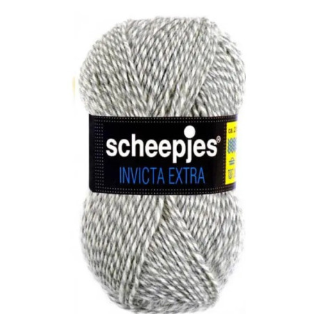 Scheepjes Invicta Extra 1330