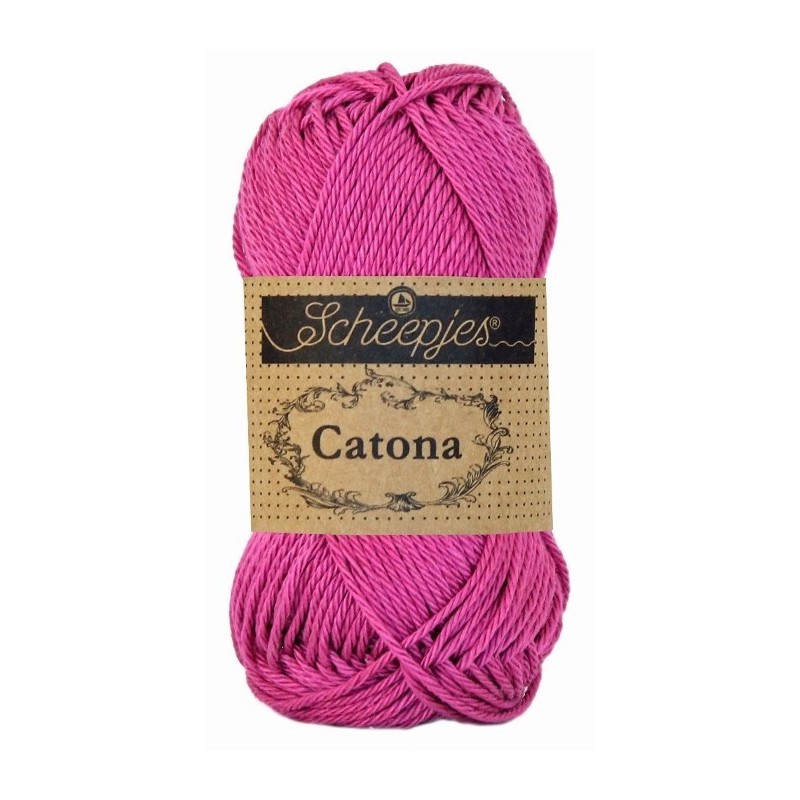 Catona 251 garden rose