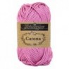 Catona  398 Colonial rose