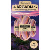 Scheepjes Arcadia Striped 1x100gr - 911 Twilight