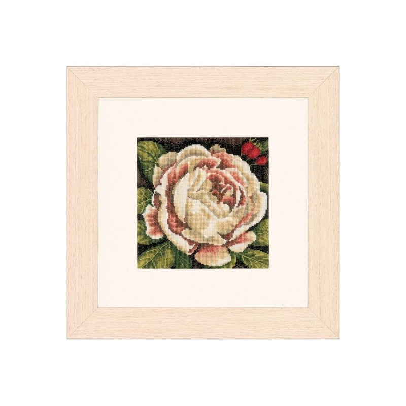Telpakket white rose pn-0144567 lanarte