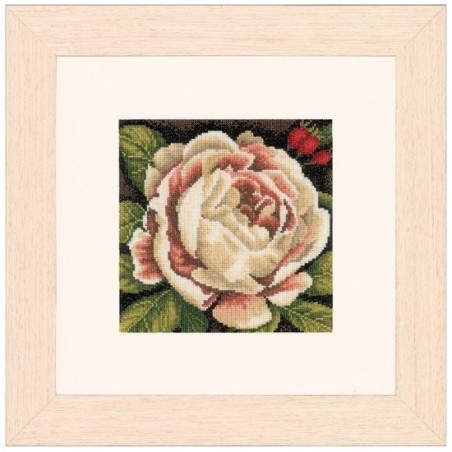 Telpakket white rose pn-0144567 lanarte