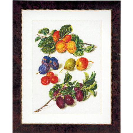 Thea Gouverneur telpakket Peaches & Plums Aida", 33x45cm