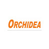 Orchidea